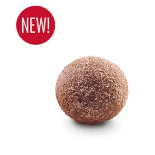 Gingerbread Timbit